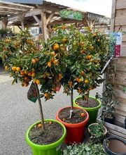 Bricomarché La Loupe image 6