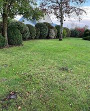 R&T Paysage image 5