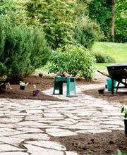 Berliner Baum Team GmbH Bild 1