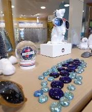 Penel Optique - Opticien Tournefeuille image 6