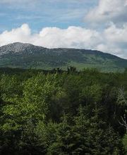 HKS Associates, Inc. image 13