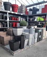 Jardinerie du Bois-Paris image 6