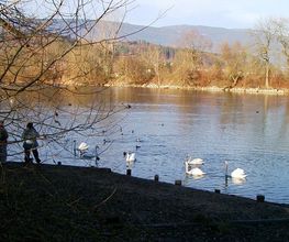 Seeland Camp Campingplatz Bild 6