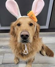 Barkley Heating & Air LLC image 7