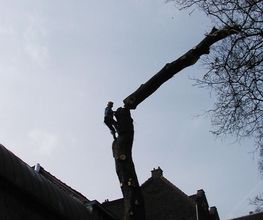 Rochefort Bois image 12