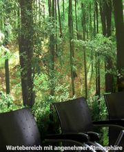 Dr. med. Maick Griebenow Mund-Kiefer-Gesichtschirurg Bild 9