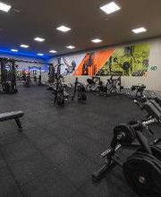 Gimnasio VivaGym Padeleku imagen 15