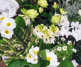 Rambert Fleurs image 2