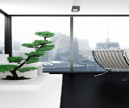 Mv 2000 image 1