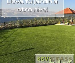 foto2sevigrass.jpg