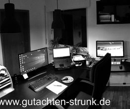 KFZ-Sachverständigenbüro Strunk Bild 1