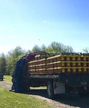 Ncvabeenucs.com image 1