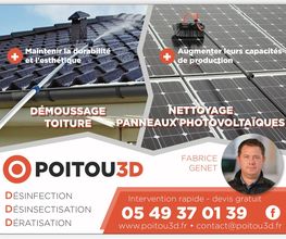 Poitou 3D image 8