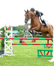 Ecuries des Tourelles image 13