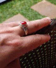 Mains Tenant image 13