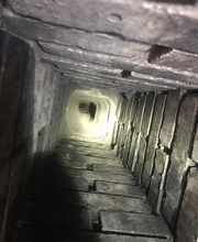 Schatz Francky image 1