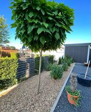 Grünlandpflege M.O Bild 14