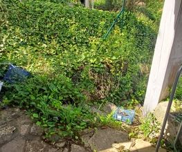 sap007 image 14
