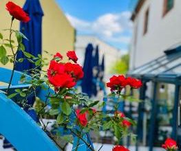 Bacchus Keller Griechisches Restaurant Bild 18