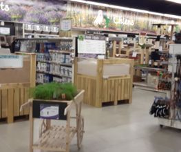 Animalis Antibes image 3