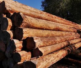 Holz & Bau Hollinger Bild 1
