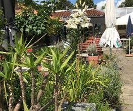 Restaurant Kastell 72172 Sulz am Neckar Hartensteinstr. 35