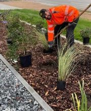 Garten und Forstbetrieb Feibig Bild 2