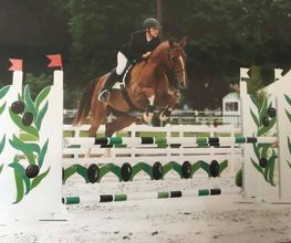 Equitation Passion image 7
