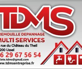 TDMS image 1
