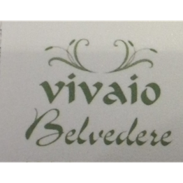 Vivaio Belvedere di Raballo Livio logo