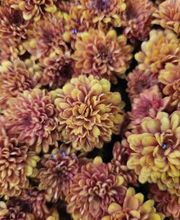 Bricomarché Orval image 7