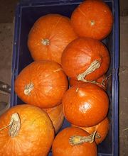 La Ferme du Morillon LFDM image 7