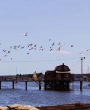 Topside Inn image 16