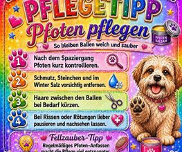 Fellzauber Bild 9