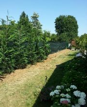 Sign'Nature Jardin image 13