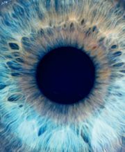 Dr méd. Besse Hayat Christine Bild 8