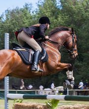 Hipica la melgosa imagen 3