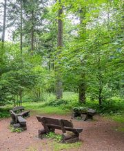 FriedWald Weilrod Bild 8