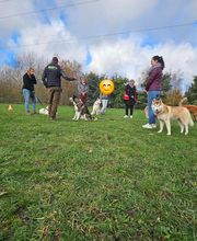 Bien dans ses Pattes image 17