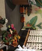 Hoffmann Optic Inh. Astrid Grimm e. Kfr. Bild 5