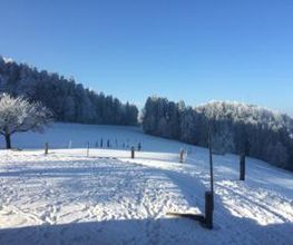 Ferme-Restaurant Pierreberg Bild 12