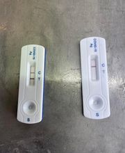 Magali DORIN image 5