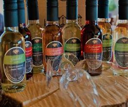 Privatweingut Schmidt Bild 2