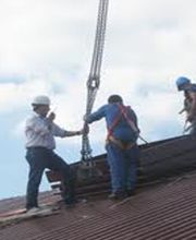 Lr Bat image 12