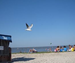 Ferienhaus Dumont Bild 8