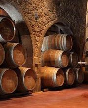 Bodegas Los Jumillanos imagen 18