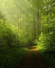 Acker Karine image 2