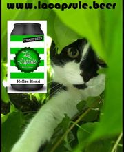 La Capsule Beer Shop Bild 3