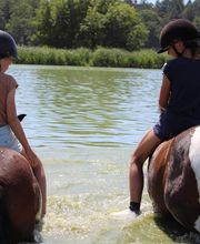 Les Poneys de Monthoiron image 7