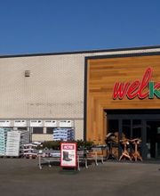 Dalfsen Welkoop NF